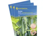 Hornbach Snack-Gurke 'Picolino F1' Gemüsesamen Kiepenkerl krankheitsresistent, 3er-Vorteils-Pack