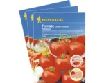 Hornbach Salat-Tomate Phantasia F1 Gemüsesamen Kiepenkerl krankheitstolerant, 3er-Vorteils-Pack