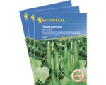 Hornbach Salat-Gurke 'Dominica F1' Gemüsesamen Kiepenkerl kranheitsresistent & selbstbefruchtend, 3er-Vorteils-Pack