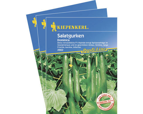 Salat-Gurke 'Dominica F1' Gemüsesamen Kiepenkerl kranheitsresistent & selbstbefruchtend, 3er-Vorteils-Pack