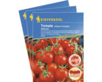 Hornbach Cherry-Tomate Philovita F1 Gemüsesamen Kiepenkerl krankheitstolerant, 3er-Vorteils-Pack