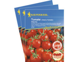 Cherry-Tomate Philovita F1 Gemüsesamen Kiepenkerl krankheitstolerant, 3er-Vorteils-Pack