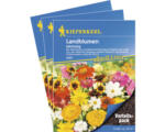 Hornbach Blumenwiesensamen 'Landblumen' Kiepenkerl, 3er-Vorteilspack für 75 m²