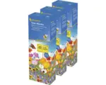 Hornbach Blumenwiesensamen 'Tempo Blütenflor' Kiepenkerl Profi-Line, 3er-Vorteilspack für 90 m²