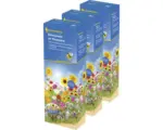 Hornbach Blumenwiesensamen 'Blütenpracht am Wegesrand' Kiepenkerl Profi-Line, 3er-Vorteilspack für 120 m²
