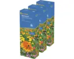 Hornbach Blumenwiesensamen 'Blütenteppich' Kiepenkerl Profi-Line, 3er-Vorteilspack für 150 m²