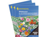 Hornbach Blumenwiesensamen 'Wildblumen' Kiepenkerl Profi-Line, 3er-Vorteilspack für 75 m²