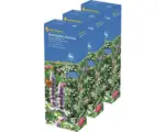 Hornbach Blumenwiesensamen 'Bauerngartenmischung' Kiepenkerl Profi-Line, 3er-Vorteilspack für 150 m²
