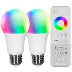 2x LED Birne + Fernbedienung 60 W E27