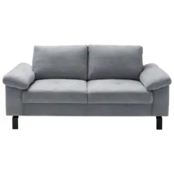Zweisitzer-Sofa in Velours Grau