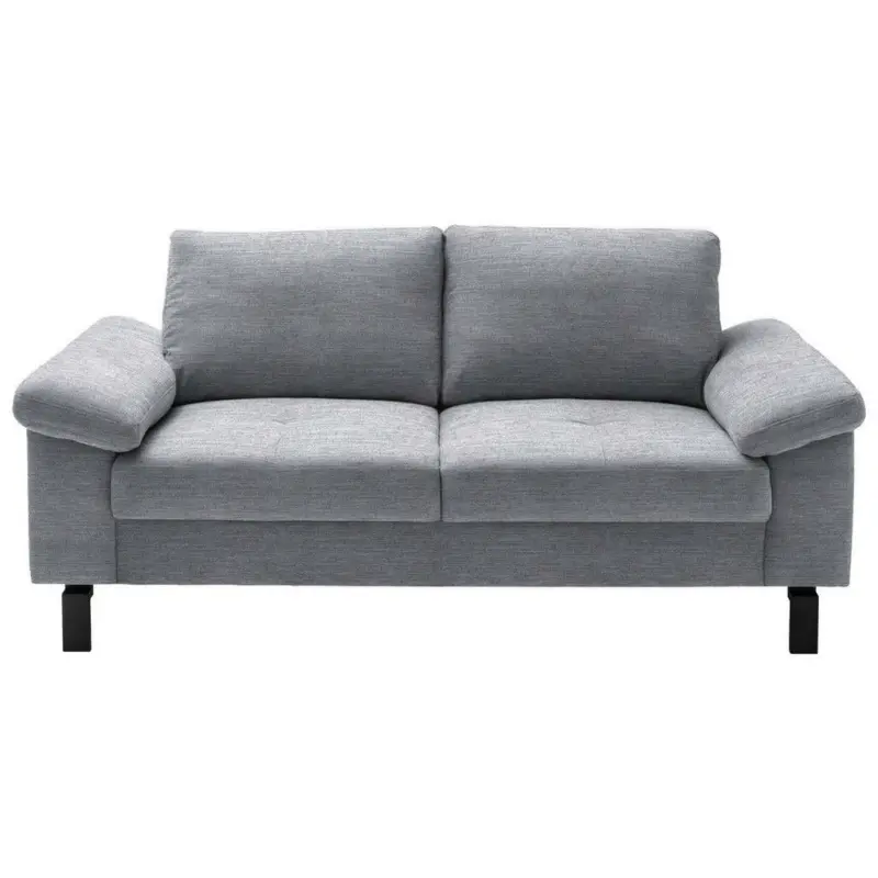 Zweisitzer-Sofa in Velours Grau
