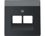 Hornbach UAE-Abdeckung Zentralplatte Busch-Jaeger Future Linear 2-fach unterputz schwarz matt (1803-02-885)