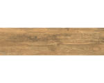 Hornbach Feinsteinzeug Bodenfliese Tilglio 17x62 cm braun matt