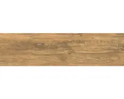 Feinsteinzeug Bodenfliese Tilglio 17x62 cm braun matt