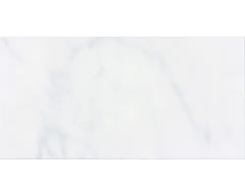 Steingut Wandfliese Carrara 30x60 cm grau