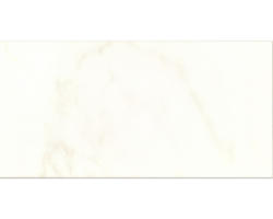 Steingut Wandfliese Carrara 30x60 cm beige