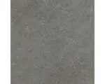 Hornbach Feinsteinzeug Bodenfliese Alpen 60x60 cm grau matt