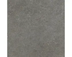 Feinsteinzeug Bodenfliese Alpen 60x60 cm grau matt