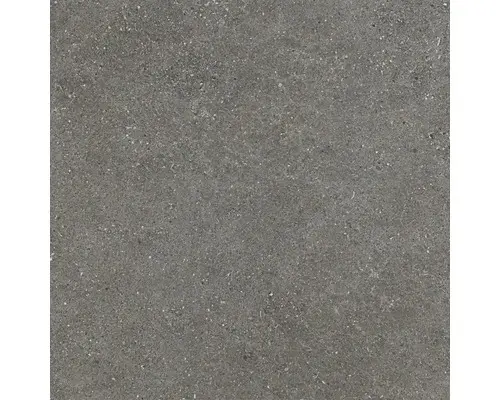 Feinsteinzeug Bodenfliese Alpen 60x60 cm grau matt