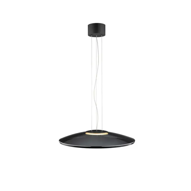 Led-Hängeleuchte 45/210 cm