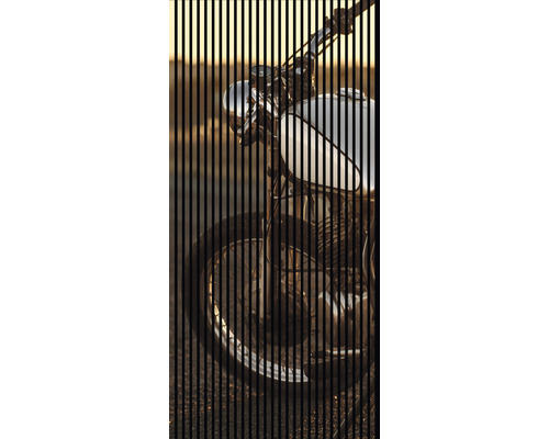 Akustikpaneel digital bedruckt Motorrad 2 19x1133x2400 mm Set = 2 Einzelpaneele