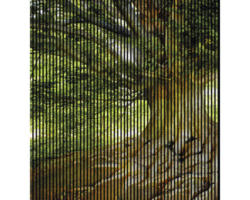 Akustikpaneel digital bedruckt Baum 1 19x2253x2400 mm Set = 4 Einzelpaneele