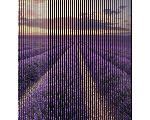 Akustikpaneel digital bedruckt Lavendel 1 19x2253x2400 mm Set = 4 Einzelpaneele