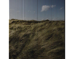 Akustikpaneel digital bedruckt Gras 1 19x2253x2400 mm Set = 4 Einzelpaneele