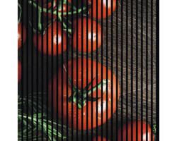 Akustikpaneel digital bedruckt Tomaten 1 1133x19x1195 mm Set = 2 Einzelpaneele