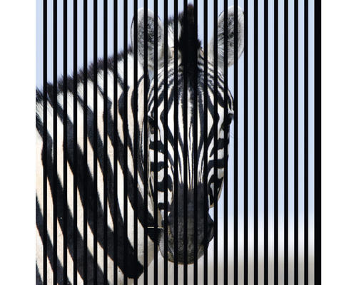 Akustikpaneel digital bedruckt Zebra 1 19x1133x1195 mm Set = 2 Einzelpaneele