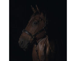 Akustikpaneel digital bedruckt Pferd 1 19x2253x2400 mm Set = 4 Einzelpaneele