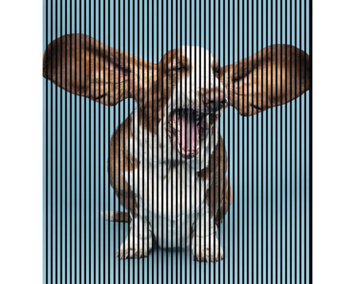 Akustikpaneel digital bedruckt Dog 1 19x2253x2400 mm Set = 4 Einzelpaneele