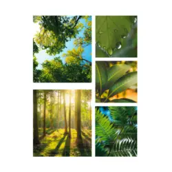 Keilrahmenbild 80/60/3 cm