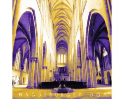 Glasbild Magdeburg VI 30x30 cm