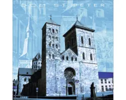 Glasbild Osnabrück VI 30x30 cm