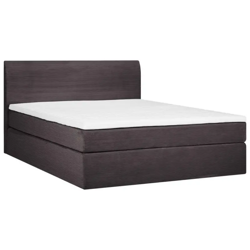 Boxspringbett 160/200 cm in Mokka