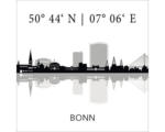 Hornbach Glasbild Bonn V 50x50 cm
