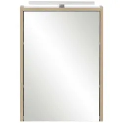 Spiegelschrank 43,5/64/16 cm