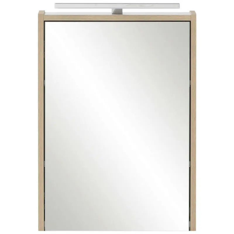 Spiegelschrank 43,5/64/16 cm