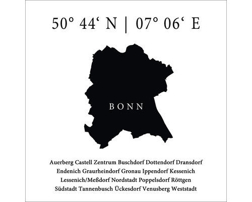 Glasbild Bonn VIII 20x20 cm