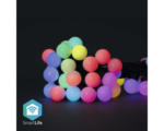 Hornbach Deko-Party-Lichterkette Nedis® SmartLife mit 48 Elementen 5,65 W IP 65, 10,8 m WLAN RGB (WIFILP02C48) (6310699)