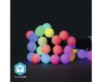 Hornbach Deko-Party-Lichterkette Nedis® SmartLife mit 48 Elementen 5,65 W IP 65, 10,8 m WLAN RGB (6310699)