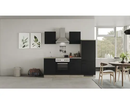 Küchenzeile Flex Well Capri schwarz matt/Wildeiche 220 cm inkl. Einbaugeräte 00012598