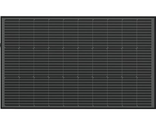 Ecoflow Solarpanel 2x100 W