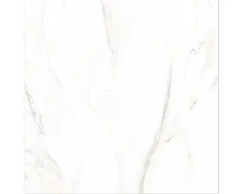 Feinsteinzeug Bodenfliese Premium Calacatta 80x80 cm weiß glänzend rektifiziert