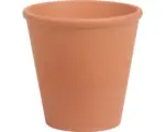Hornbach Pflanztopf Spang Rosen Ton Ø 12 H 12 cm terracotta