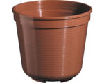 Hornbach Pflanztopf Geli Kunststoff Ø 24 H 20,5 cm terracotta