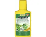 Hornbach Tetra AlguMin 100 ml