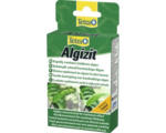 Hornbach Tetra Algizit 10 Tabletten