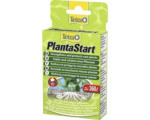 Hornbach Tetra PlantaStart 12 Tabletten